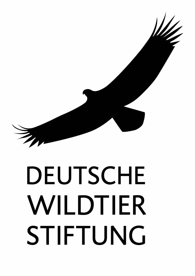 Logo Deutsche Wildtier Stiftung