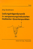 Jörg Sandmann: Ladungsträgerdynamik in verspannungsinduzierten Halbleiter-Quantenpunkten