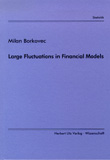 Milan Borkovec: Large Fluctuations in Financial Models
