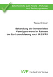 Tanja Grüner: Behandlung der immateriellen Vermögenswerte im Rahmen der Erstkonsolidierung nach IAS/IFRS