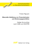 Tristan Nguyen: Bilanzielle Abbildung von Finanzderivaten und Sicherungsgeschäften