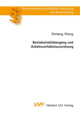 Ximeng Wang: Betriebs(teil)übergang und Arbeitsverhältniszuordnung