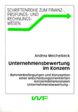 Andrea Meichelbeck: Unternehmensbewertung im Konzern