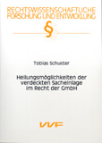 Tobias Schuster: Heilungsmöglichkeiten der verdeckten Sacheinlage im Recht der GmbH